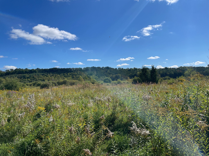 Grassland-restoration-site-Melnyk-Agnew-Easement-Aiesha