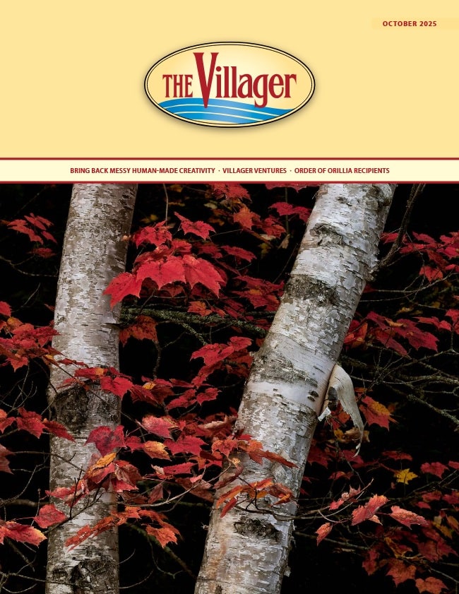 The Villager October Issue